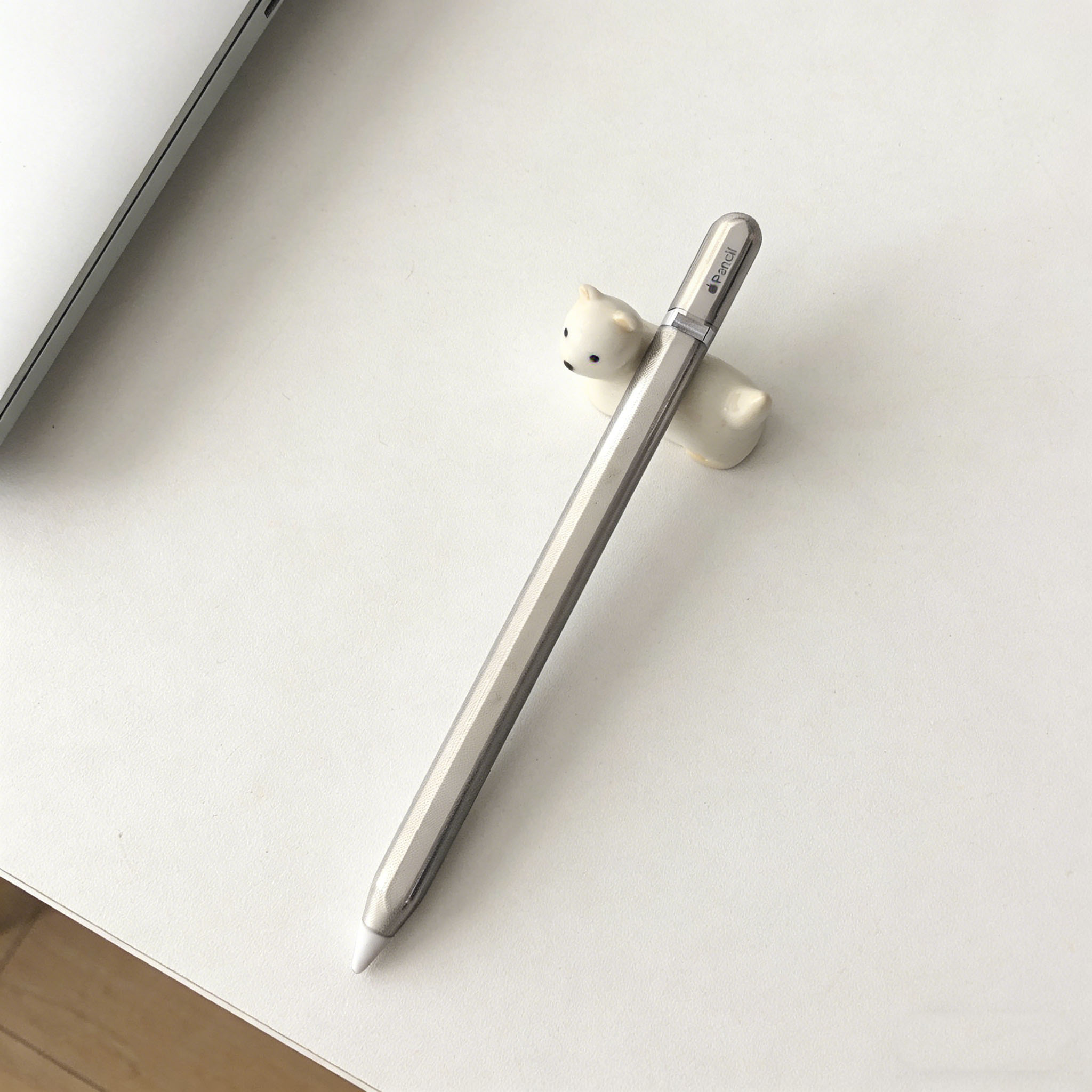 เคสป้องกันสำหรับ Apple Pencil  - Iphone Tablet Accessories บทวิจารณ์และราคา